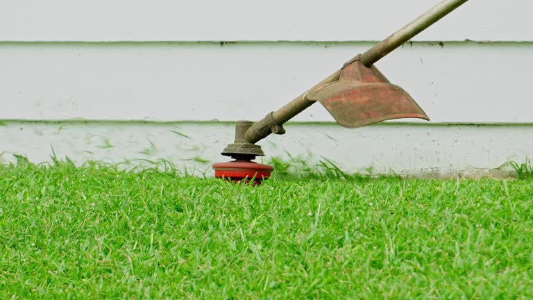 Best Arborist Consultation Services  in Fort Denaud, FL